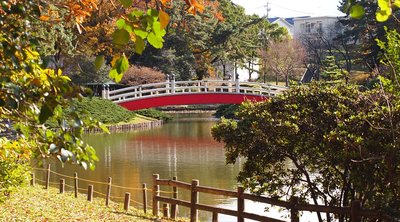 🌳 우에노다이 공원 이미지 2